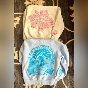 Pink Palm Puff Bundle 2 Hoodies Size XS Blue / Grey / Pink